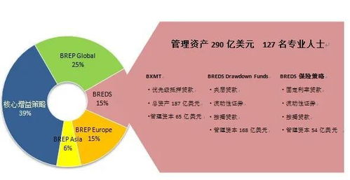 黑石投資與運營策略的迭代升級 從機會性投資到主題投資