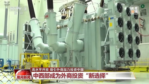 高水平開放吸引力加大 哪里正成為外商投資 新選擇