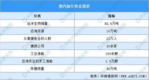2024年塞內加爾投資環境深度分析及中資企業在塞內加爾投資策略