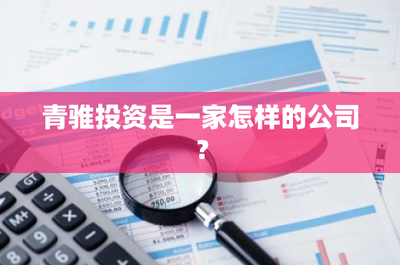 青騅投資是一家怎樣的公司?